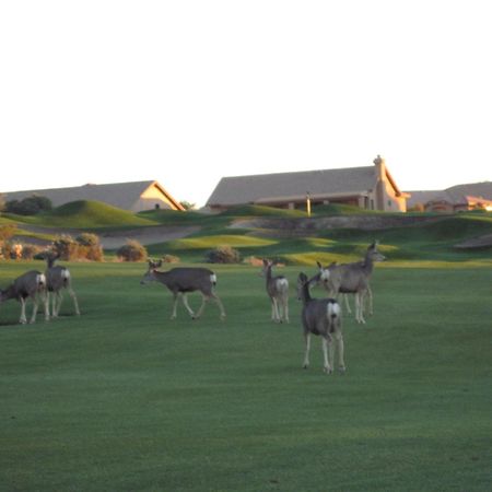 Gold Canyon Golf Resort Camera foto