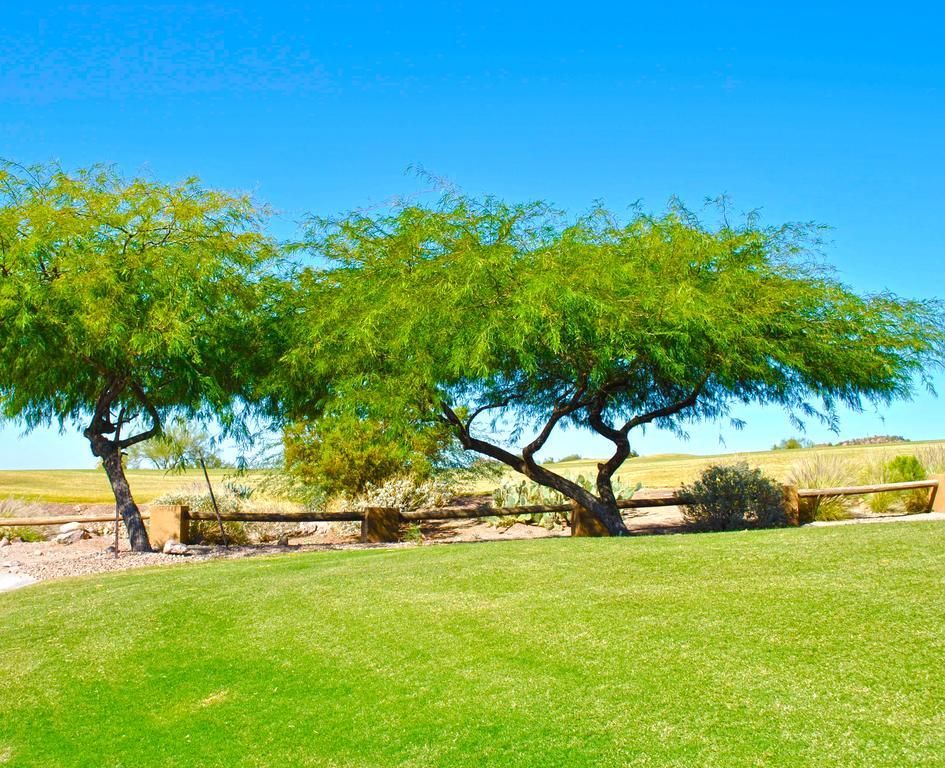Gold Canyon Golf Resort Camera foto